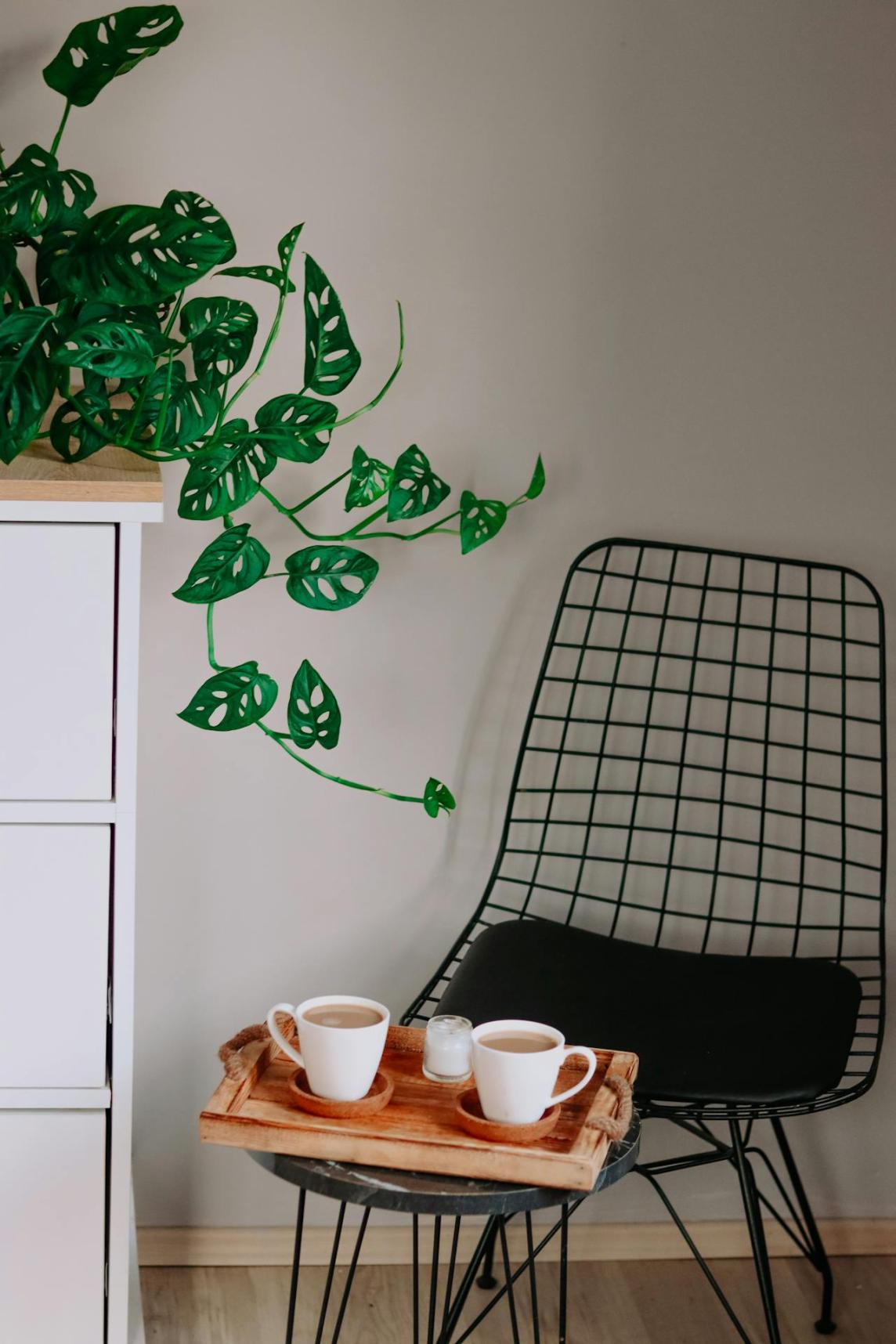 Elegant Mesh Lounge Chair