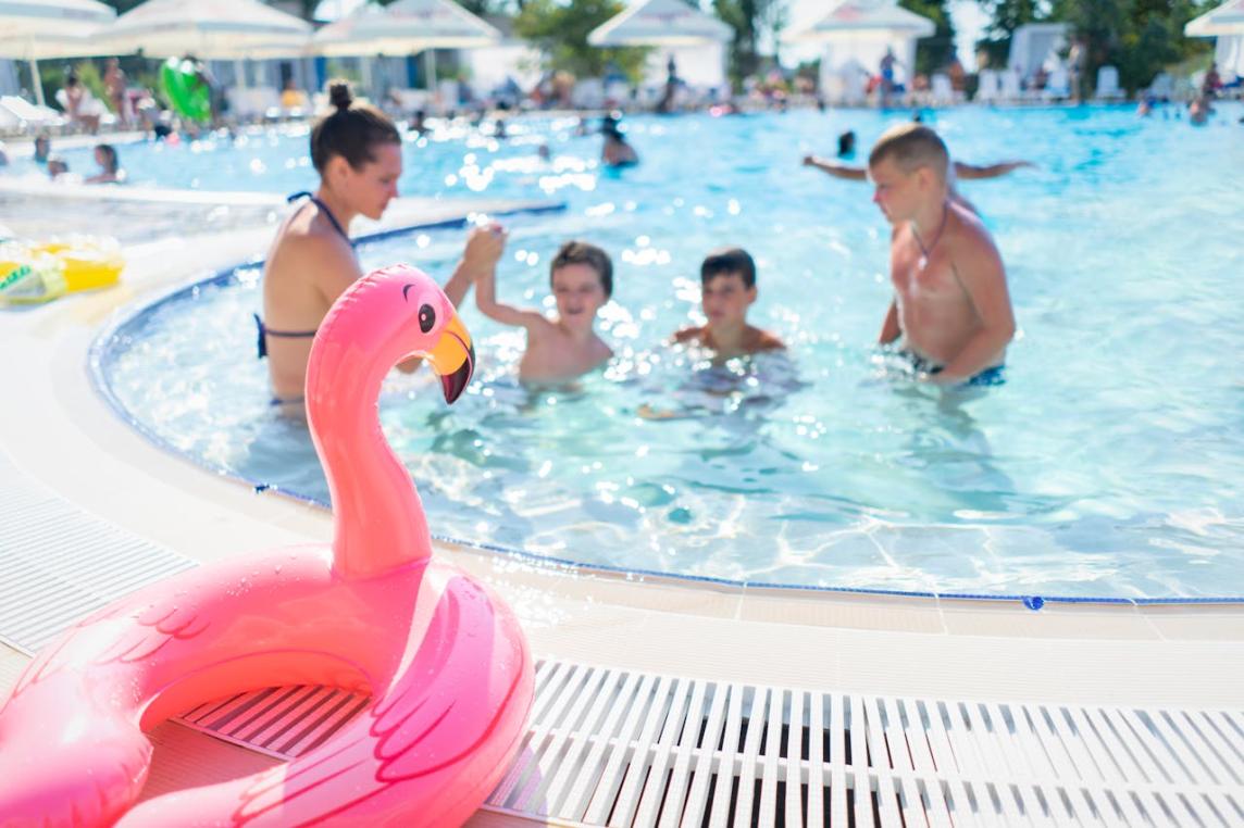 Gigantic Inflatable Flamingo